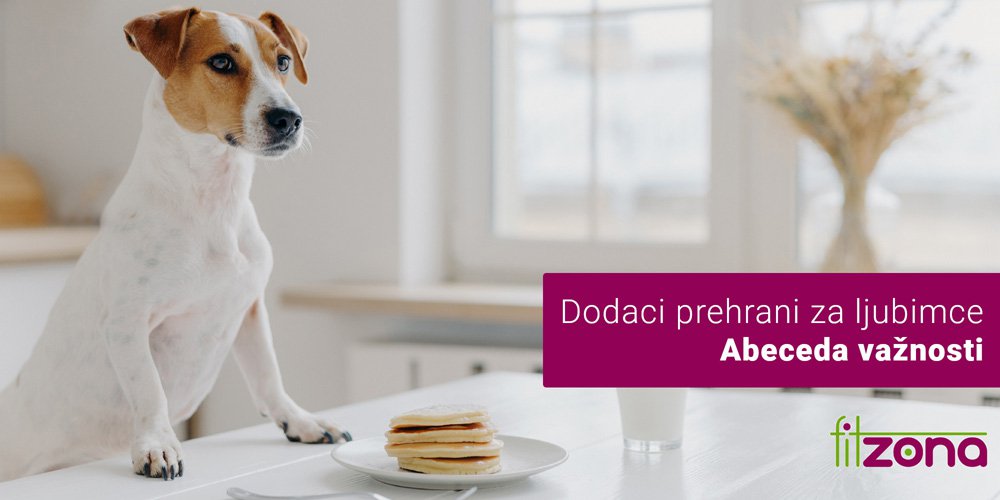 Dodaci prehrani za ljubimce: Abeceda važnosti