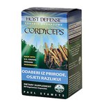 Cordyceps