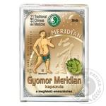 Meridijan želuca 