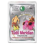 Meridijan pluća
