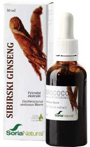 Sibirski ginseng kapi