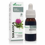 Sikavica kapi