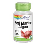 Red Marine Algae