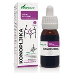 Konopljika kapi