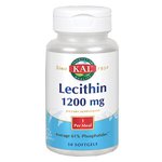 Lecithin